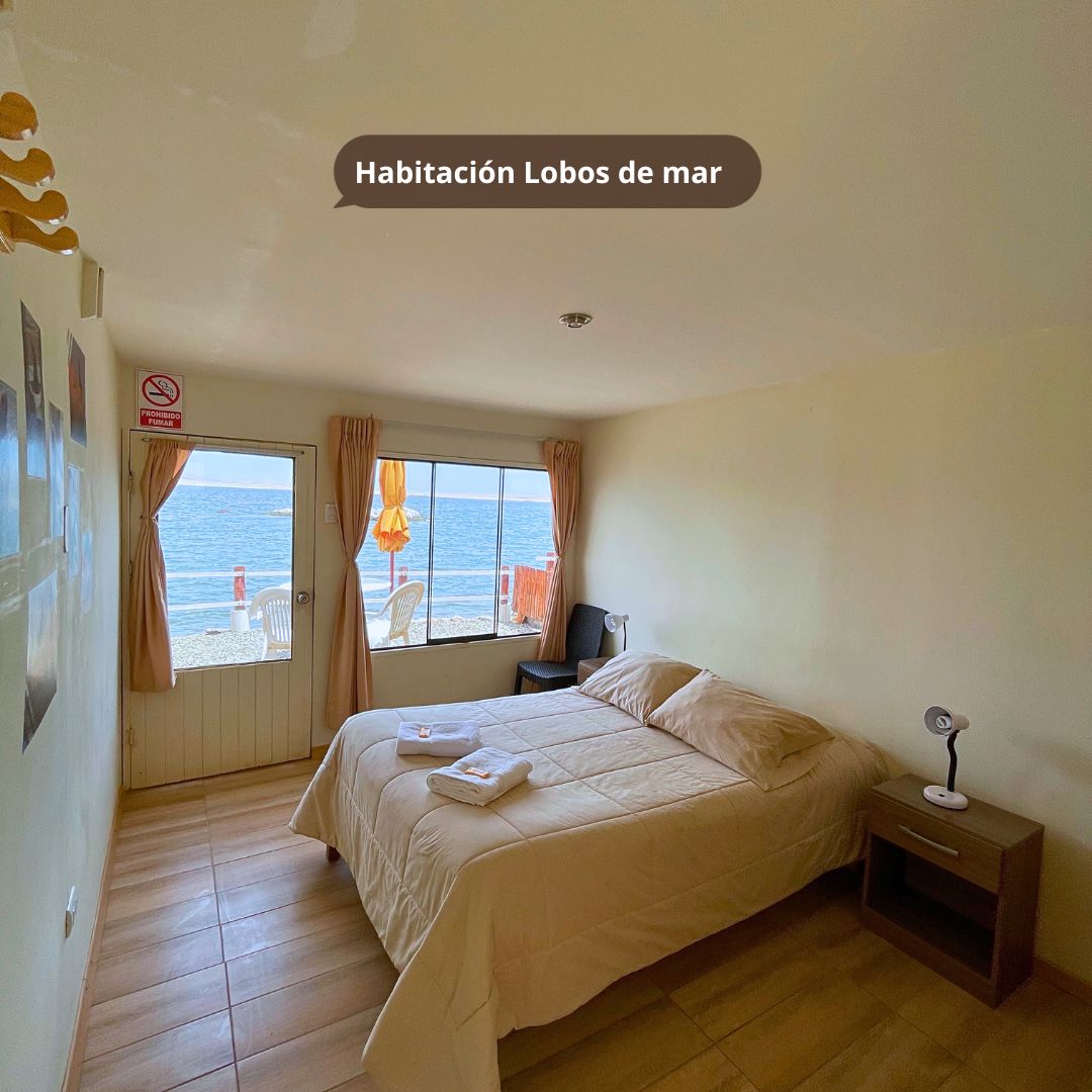 inti-mar-hospedaje-paracas-4